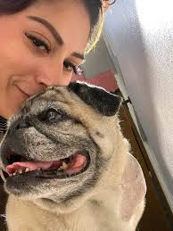 My heart and soul and first standard poodle, Mona, is sick. She's 11 years  old and I've been having horrible sadness the past couple of weeks BC I've  been scared of losing