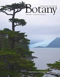 Image result for Hedythyrsus thamnoideus