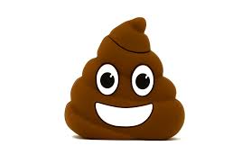 Poop Emoji USB Flash Drives