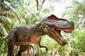 I dinosauri furono gli animali dominanti durante tutta l'era mesozoica e la maggior parte delle specie si estinse alla fine di tale era. Nomi Dei Dinosauri Per Bambini Dinotropoli