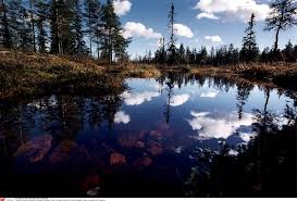 Van camperplaats tot gemeentecamping tot luxe resorts. De Natuur In Zweden Travel To The North