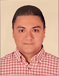 Haitham Ali Hassan Ali