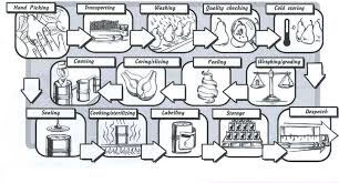 Part B Canning Food Preservation