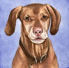 Pet Portrait Dog In Watercolors Dog Art Custom Pet Portrait Vizsla 10 To Animal Welfare Watercolor Dog Dog Art Pet Portraits
