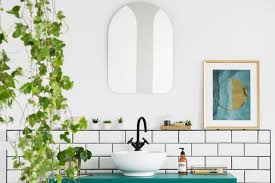 Een Groene Douche De Beste Planten Voor In Je Badkamer Vrije Tijd Hln Be