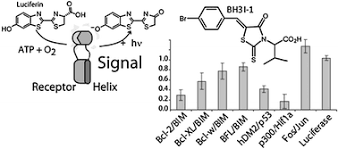 Image result for BCL2 Inhibitor