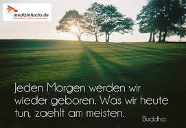 Segen zitate wünsche inspirierende zitate morgen montagmorgen zitate wochenstart zitate zum thema morgen quotes arabic guten morgen gruss sprüche. Zitat Quote Wochenstart Montag Motivation Www Medizinfuchs De Ist Der Beste Preisvergleich In Deutschland Fur Medikame Medikamente Gut Leben Medizin
