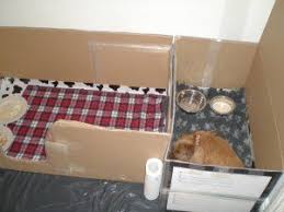 How To Build A Whelping Box For Small Dogs Whelping Box Dog Whelping Box Pregnant Dog