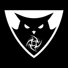 In 2012, the team reformed with a counter strike: Logo Imgur