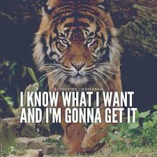 I Know What I Want And I M Gonna Get It Tiger Quotes Motivational Quotes Motivational Quotes For Life