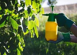 Learn helpful tips about mosquitoes and rodents. Other Services Southern New Jersey Safeguard Termite Pest Control