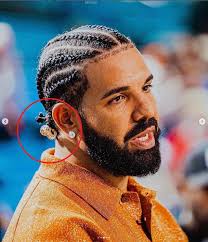 Did Big Sean inspire Drake to get braids : r/Drizzy