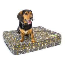 Jul 23, 2020 · midwest homes for pets* offers three styles of big dog beds cheap: Charcoal 5 Thick Soft Firm Reversible Gel Memory Foam Orthopedic Dog Bed Eluxury