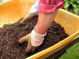Don't do more than this unless you have lots of plants. A Homemade Fertilizer Recipe
