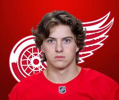 Finnie was drafted 201st overall (7th round) by the Detroit Red Wings in  the 2023 NHL Entry Draft. Scouts and team staff praise his work ethic,  motor, and ability to impact the