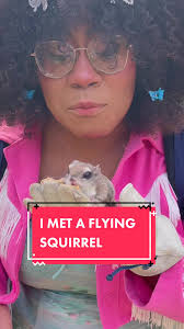 Flying Squirrel Sierra Nevada Journeys