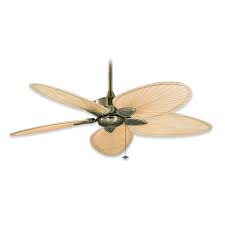 Get 5% in rewards with club o! Fanimation Windpointe Fp7500ab 52 Ceiling Fan Antique Brass
