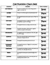 cell organelle chart