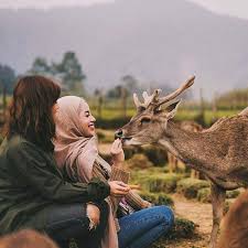 Tempat wisata lombok lengkap dengan tiket masuk dan fakta menarik. Bukan Kebun Binatang Di Sini Juga Ada Hewan Lucu Dan Cantik Lho
