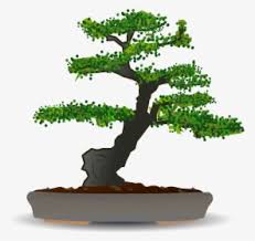 Our free cutout pngs have no royalties. Transparent Japanese Tree Png Japanese Blueberry Png Png Download Transparent Png Image Pngitem