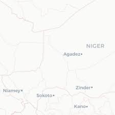 Image result for Stemodiopsis rivae