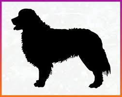 Download Bernese Mountain Dog Svg Bernese Mountain Silhouette Svg File Vector Iron On Transfer Silhouette Cricut Bernese Mountain Dog Mountain Dogs Mountain Silhouette
