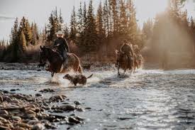 When this happens, bridging of the saddle tree can occur. Western Riding Feel The Freedom In Big Creek Near Coast Mountains Your Wild West Adventure