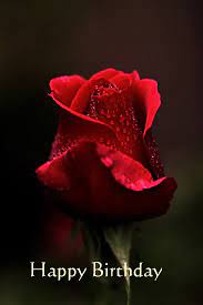 I'm so grateful for your friendship and all the fun times we've had together this year. Happy Birthday Quotes With Roses Quotesgram