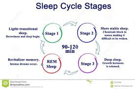 Sleep Cycle Diagram Catalogue Of Schemas