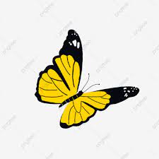 A Yellow Flying Butterfly Cartoon Element Butterfly Clipart Yellow Butterfly Png Transparent Clipart Image And Psd File For Free Download Cartoon Butterfly Butterflies Vector Butterfly Clip Art