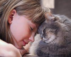 Klar habe ich schon viele abschiede 60 gesunde katzen einschläfern: Katze Einschlafern Smart Animals
