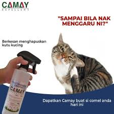 Kutu kucing dapat membawa bakteri bartonella henselae biang penyakit cat scratch disease (csd) serta bakteri yersinia pestis penyebab penyakit pes. Ubat Kutu Kucing Organik Bebas Bahan Kimia Berbahaya Shopee Malaysia