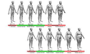 Calculate your body mass index. It S Time To Get Rid Of The Bmi Test Once And For All The Spinoff