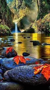When it comes to decorating, it isn't just the inside of your home that needs some updating every once in a while. Zinou 22 On Twitter In 2021 Fall Landscape Photography Autumn Landscape Landscape Photography Nature