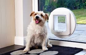 Electric Pet Door