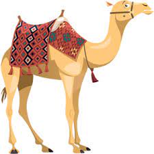 If you have a few years of experience in the java ecosystem, and you're interested in sharing that experience with the community (and getting paid for your work of course), have a look at the write for us page. English The Lost Camel Worldstories