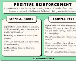 Image of positive reinforcement example