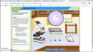 The diffusion lab has been a yearly activity in my biology class as part of a unit on cells and cell transport. Virtual Lab Population Biology Answers Cute766