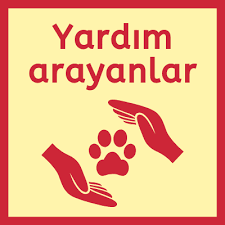 Van Belediyesi Hayvan Barinagi Sokak Hayvanlari Portali