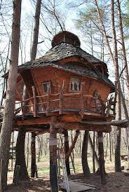 Tree House Tree House Cool Tree Houses Tree House Designs