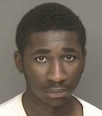 Man faces 20 years in murder plea