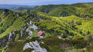 We did not find results for: Mozda Bude Cetvrta Sreca Nacionalni Park Risnjak Facebook
