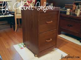 Simply repaint the file cabinet using chalk paint, diy chalk paint or spray paint. A Tale Of Two File Cabinets A Diy Success Feisty Harriet
