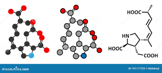 Image result for Amnesic Shellfish Poisoning