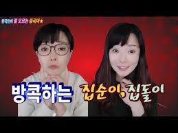 중국인이 매일쓰는 표현ㅣ사자성어ㅣ관용어ㅣ신조어 Youtube 2020 하지 한국 일본