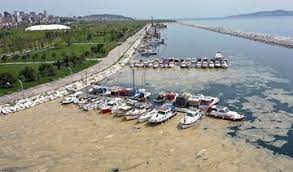 Turkey's recent outbreak is believed to be the biggest in history and is causing havoc for local communities, says the. Xrmoayb Gq5owm