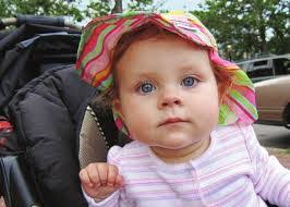 Alan Koca's Instagram, Twitter & Facebook