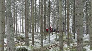 Commercial thinning with small harvester Terri 34C 8wd