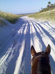 Ages 11+ horseback trail ride 3.5 mile trail ride. Beach Horseback Riding Florida State Parks