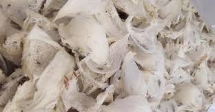 Mangga besar raya 38 b.v. China Tersendat Ekspor Sarang Burung Walet Tetap Naik